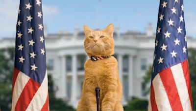 Vote for 'Morris the Cat's' Presidential Running Mate and Help an Animal Shelter Win $35,000