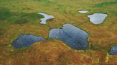 ‘Toxic surprise’ lurking in melting permafrost in the Arctic