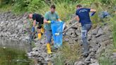 "¿Qué mató a toneladas de peces en río europeo?