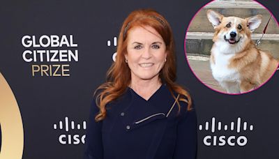 Sarah Ferguson Says Her and Queen Elizabeth II’s Dogs Are ‘Doing Very Well’ and All Get Along