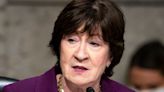 Sen. Susan Collins Crowned ‘Snowflake Of The Year’ Over Chalk Drawing Freakout