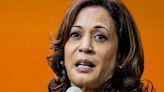 Kamala Harris Says She's 'Worried' About Voter Turnout Ahead Of 2024 Election