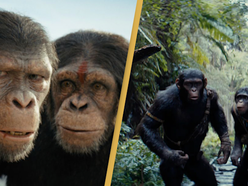 Review: Kingdom of Planet of Apes successfully delivers wild animal antics even without Andy Serkis