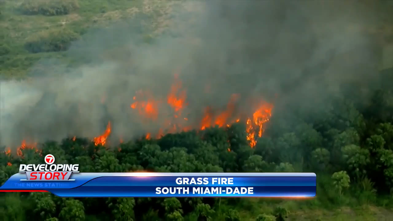 Officials: South Miami-Dade grass fire that prompted hours-long closure of Turnpike is 70% contained - WSVN 7News | Miami News, Weather, Sports | Fort Lauderdale