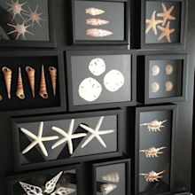 5+ Creative Ideas of Shadow Box [Images]