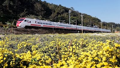 2024年國旅補助一覽：花蓮、台東、台南祭出旅遊優惠搶客，兩特定族群每日最高補助1500元 - TNL The News Lens 關鍵評論網