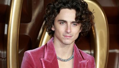 Now Casting: An A24 Film Starring Timothée Chalamet Needs Talent + 3 More Gigs