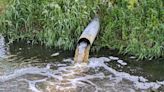 Ofwat to investigate 11 water companies over illegal sewage spills