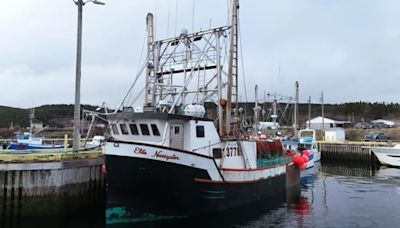 Missing N.L. fishing crew found safe, returning home | CBC News