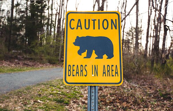 California confirms first fatal black bear attack on human