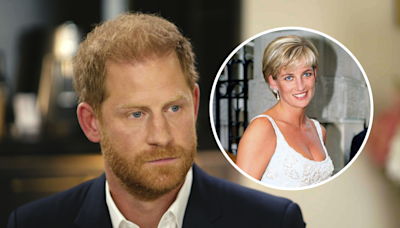 Prince Harry takes swipe at Prince William's view on Diana