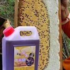 龍眼蜂蜜產地直售 5台斤 養蜂場自營 正龍眼花 品質保證檢驗合格 產區南投縣 國姓鄉