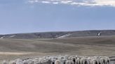 Prairie Ponderings: Looking out over a land of grass