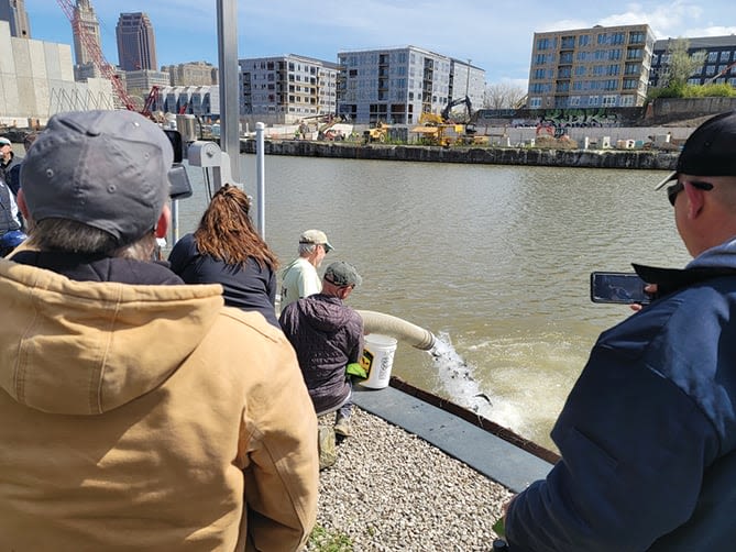 Steelhead stocked for first time in Ohio's Cuyahoga River after cleanup efforts - Outdoor News