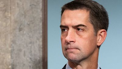 Tom Cotton Claims Harris Has Avoided The Media, Ignoring Trump’s Own Debate Dodge