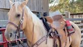 World Champion Roping Horse with the 'Fluffiest' Ears Dies Alongside Another Horse in California Barn Fire