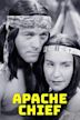 Apache Chief (film)