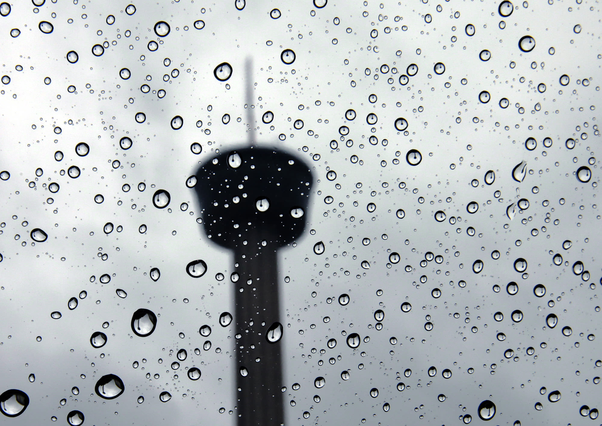 Any more rain for South Texas? Here’s a day-by-day breakdown.