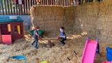 'I took my kids to these nine farm shops with play areas around Greater Manchester - and we loved them'