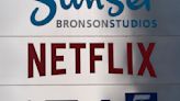 Netflix's password-sharing crackdown reels in subscribers as it raises prices for its premium plan