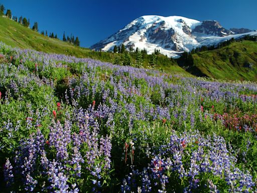 The highest and lowest natural elevation in each of the 50 states