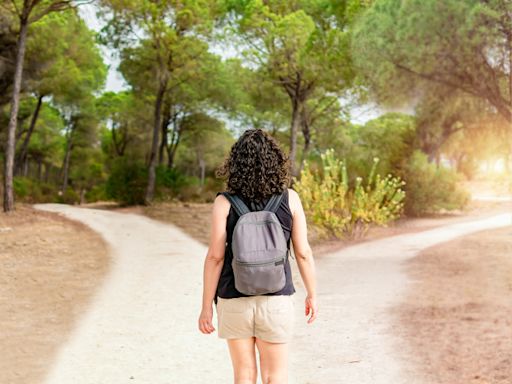 12生肖人生轉折點曝光 屬羊遭到欺壓便是強大崛起時 - 運勢