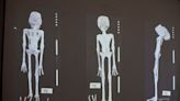 Scientists assert 'alien mummies' in Peru are really dolls made from Earthly bones