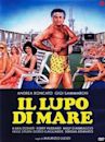 Il lupo di mare