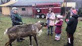 'It’s like I’m a kid again.' Finger Lakes reindeer farm brings Christmas magic to life