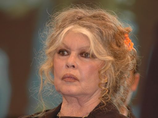 Alain Delon : "C'est interdit de...", Brigitte Bardot hausse le ton en donnant des nouvelles de l'acteur