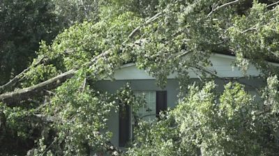 Tree crashes through bedroom in Fleming Island as thousands without power in Clay County