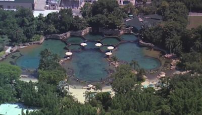 13-year-old dies after being found unresponsive in Discovery Cove Orlando pool, deputies say