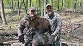 Driftwood Outdoors: Reaching middle of Midwest turkey mania | Jefferson City News-Tribune