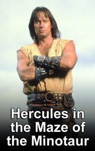 Hercules: Hercules in the Maze of the Minotaur