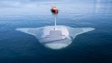 US Navy tests out new ‘Manta Ray’ drone that can stunningly hibernate on the sea floor for ‘very long periods — without even having to refuel