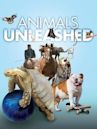 Animals Unleashed