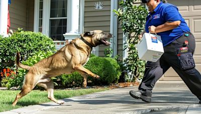 El servicio postal de EEUU reveló los estados con el mayor número de ataques de perros a carteros