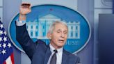 Fauci to step down as nation's infectious disease chief
