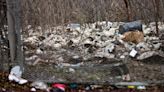 Hundreds of deer carcasses dumped in Memphis lot