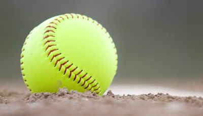 High school girls roundup: Catholic Central softball keeps rolling through an unbeaten season