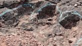 Hallan más de 400 fósiles de huellas de dinosaurio del período Cretácico en China