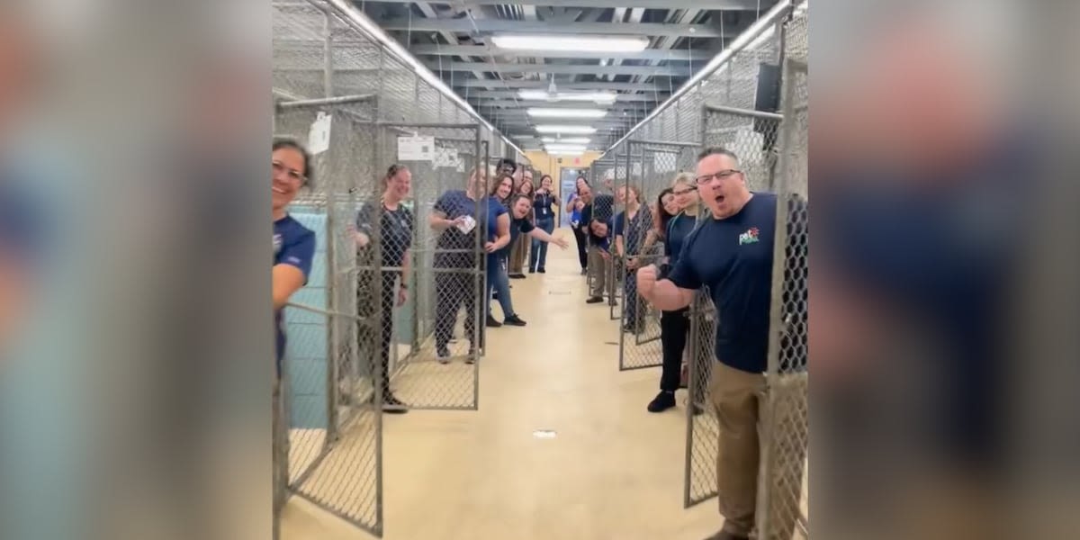 Staff cheers in front of empty dog cages after adoption event cleared out their kennel