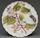 Plate (dishware)