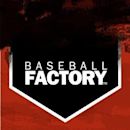 Baseball Factory