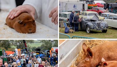 43 Pictures as thousands flock to 244th County Durham country show