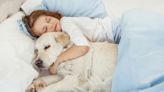 Estos son los riesgos de dormir en la cama con tu mascota, según los especialistas