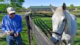 For ex-Derby winner Silver Charm, it's a life of leisure and Old Friends at Kentucky retirement farm