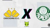 Criciúma x Palmeiras: prováveis escalações, onde assistir, retrospecto e palpites