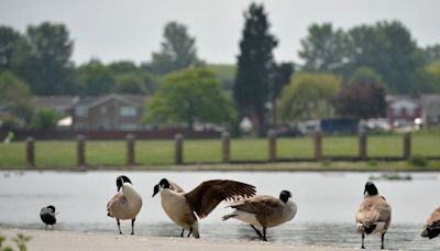 Why do I think the Black Country's bostin'? Here's a dozen reasons to get you started