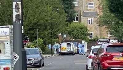 Pictures of London crime scene as Clifton Suspension Bridge double murder probe moves to capital